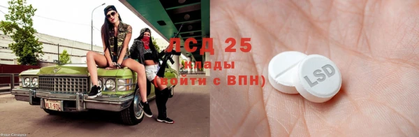 прущие грибы Мегион