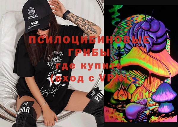 прущие грибы Мегион