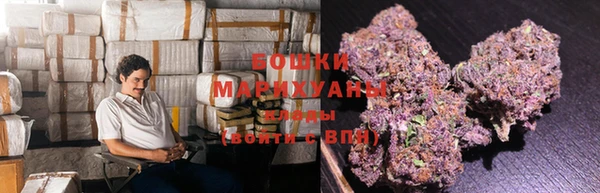 прущие грибы Мегион