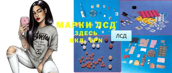 прущие грибы Мегион