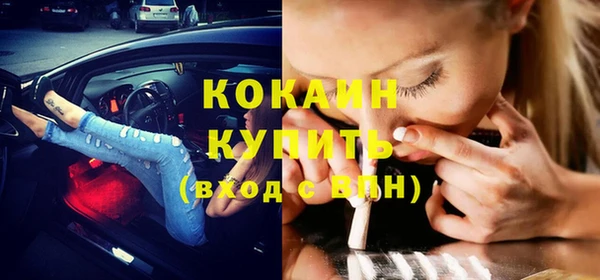 прущие грибы Мегион