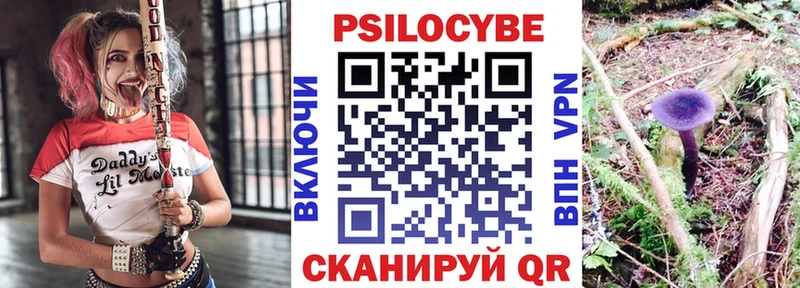 наркотики  Нытва  Псилоцибиновые грибы мицелий 